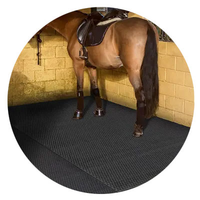 اسطبلات الخيول